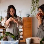 Easy Indoor Gardening Tips For Beginners Who Want Low-Maintenance Greenery