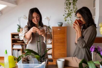 Easy Indoor Gardening Tips For Beginners Who Want Low-Maintenance Greenery