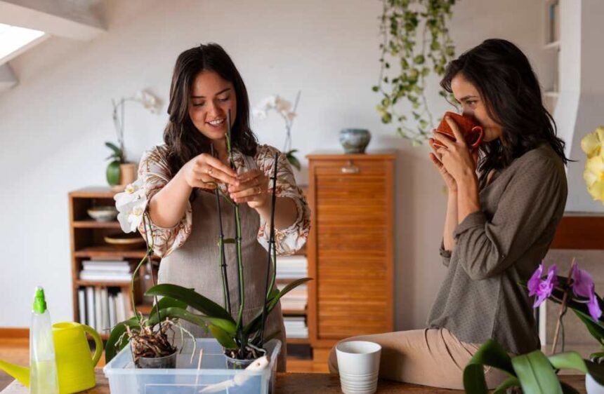 Easy Indoor Gardening Tips For Beginners Who Want Low-Maintenance Greenery
