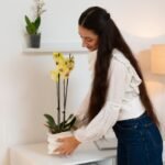 Home Organization Tips That Help You Maintain A Clean And Stress-Free Space