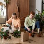 How To Build A Cozy Living Environment Using Simple Decorative Principles