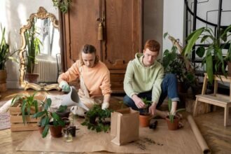 How To Build A Cozy Living Environment Using Simple Decorative Principles