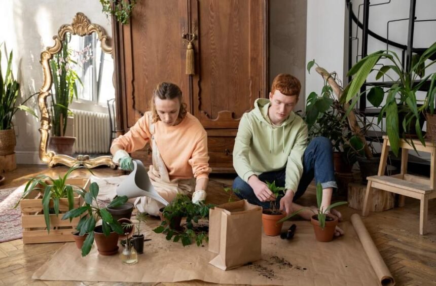 How To Build A Cozy Living Environment Using Simple Decorative Principles