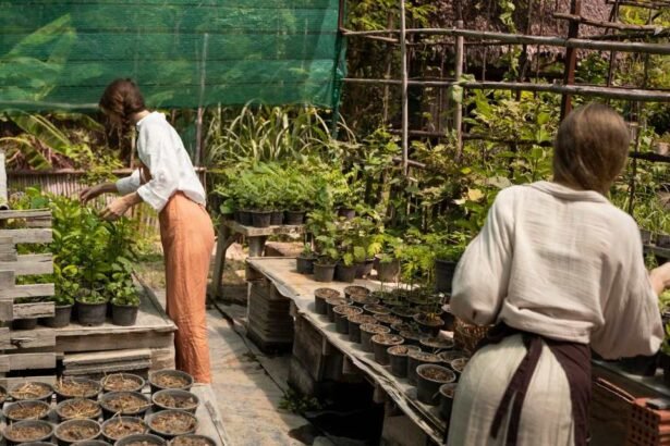 How To Create A Garden Plan That Fits Your Space And Sunlight Conditions