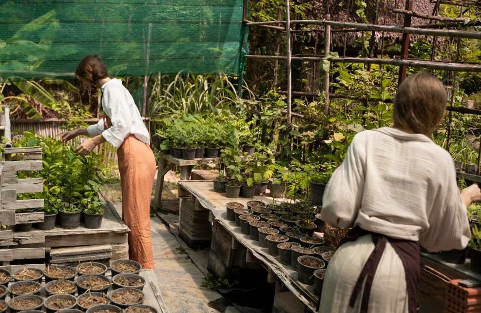How To Create A Garden Plan That Fits Your Space And Sunlight Conditions
