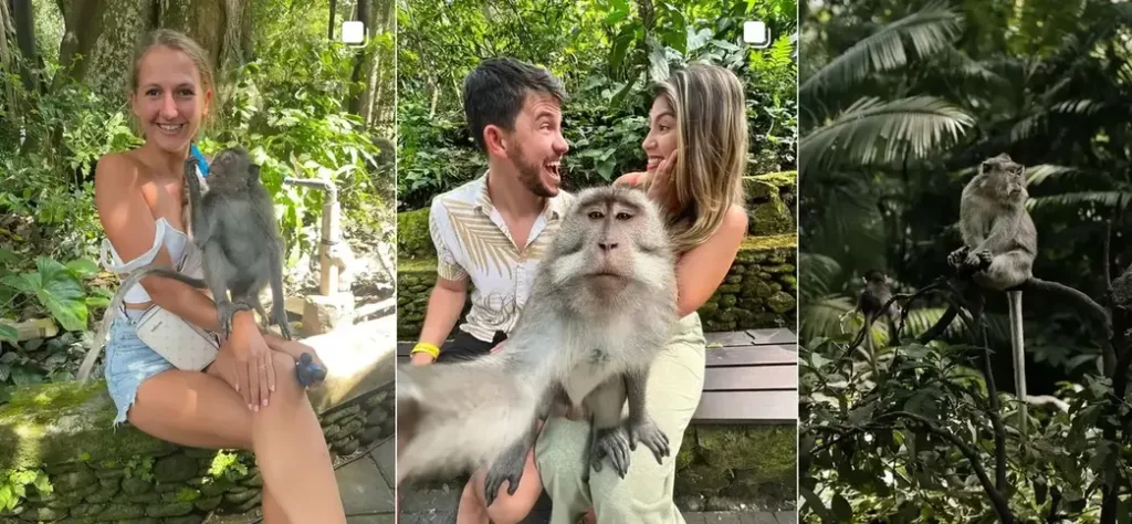 The Monkey Moment Changed the Way I Managed the Boys Around Animals